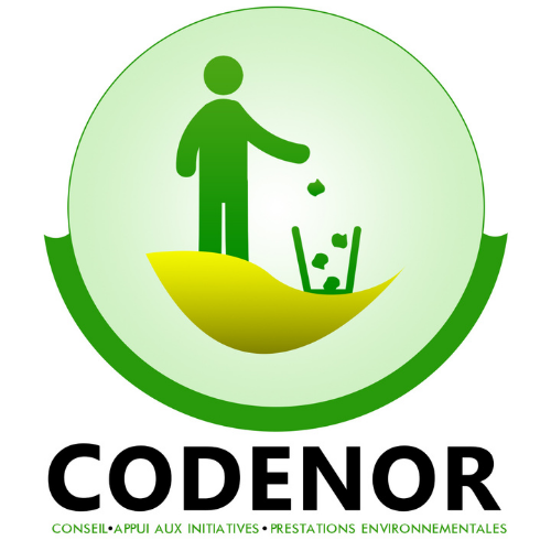 Codenor Logo