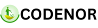 codenor logo rectangle